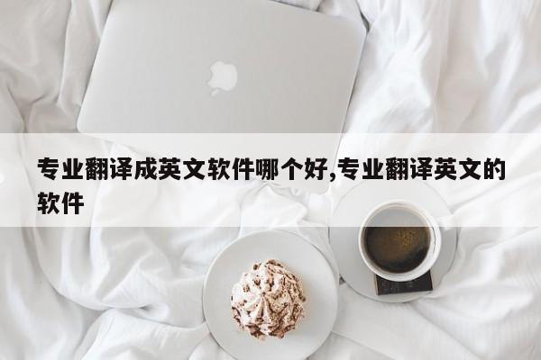 专业翻译成英文软件哪个好,专业翻译英文的软件