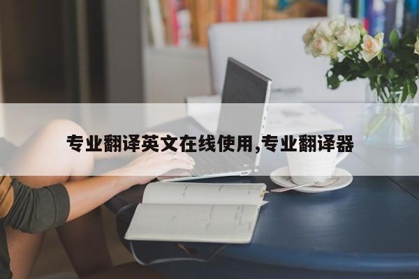 专业翻译英文在线使用,专业翻译器