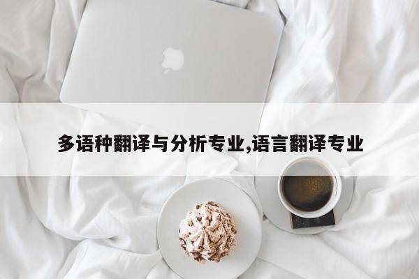 多语种翻译与分析专业,语言翻译专业