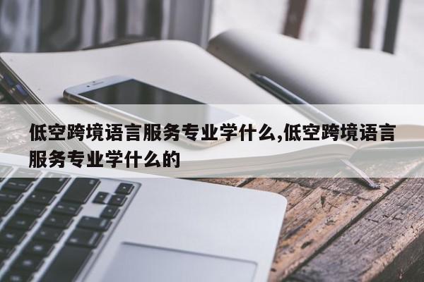低空跨境语言服务专业学什么,低空跨境语言服务专业学什么的