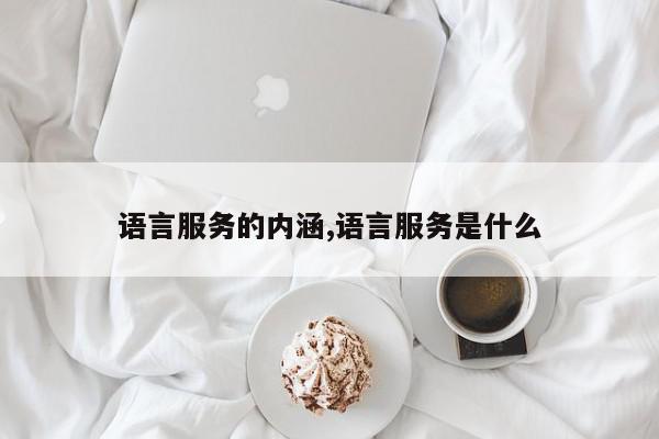 语言服务的内涵,语言服务是什么